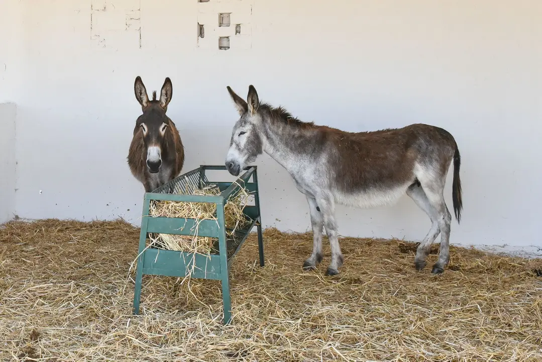 IMG-20220613-WA0013