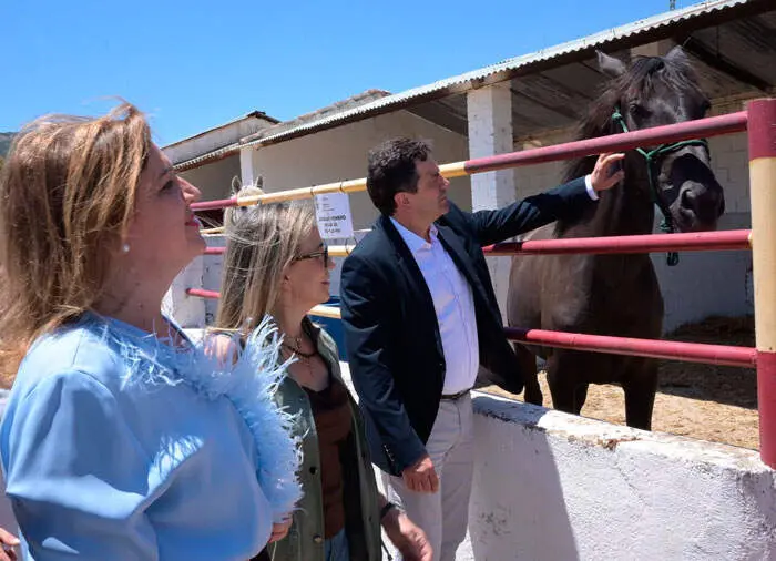 agudo-feria-12