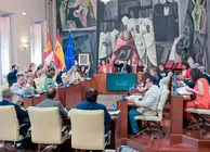 pleno-dipu