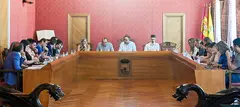 pleno-tomelloso