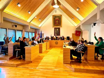 pleno-ciudad-real