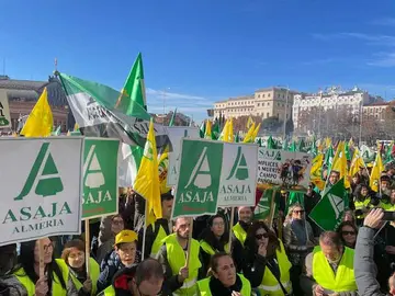 mani-asaja-4