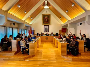 pleno-cs