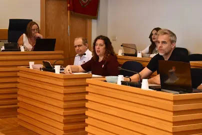 pleno-sara-psoe