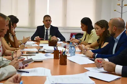 grupo-socialista-diputaci&oacute;n