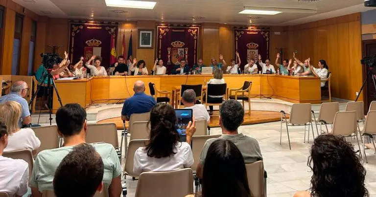 pleno-daimiel-junio