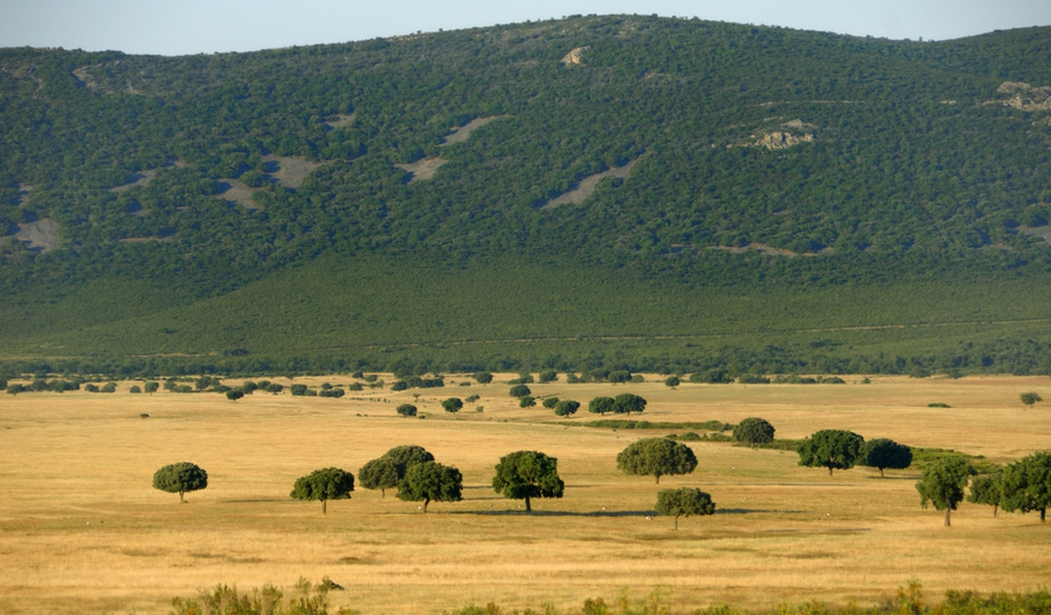 parque-nacional-de-cabaneros