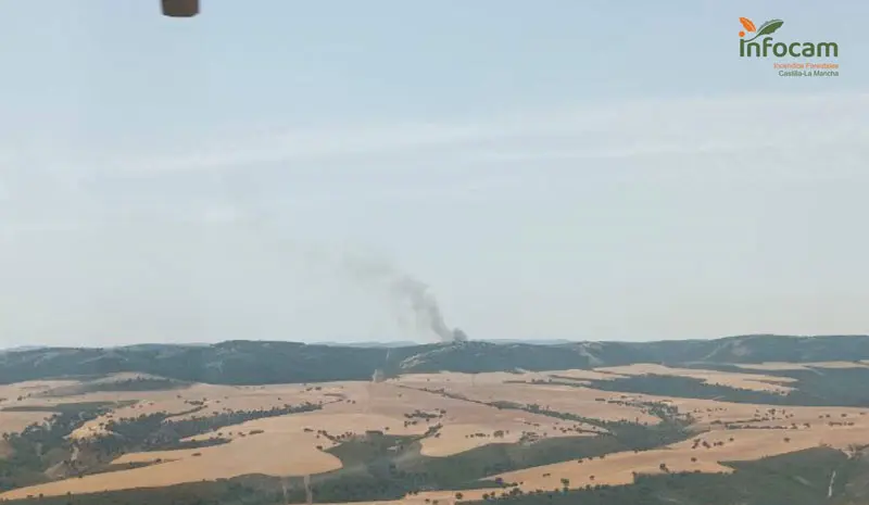 Incendio forestal en Puebla de Don Rodrigo.