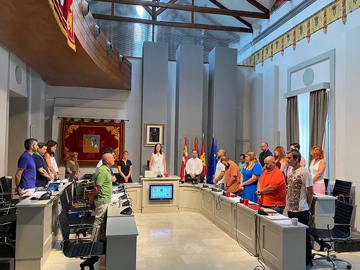Pleno en sesi&oacute;n ordinaria del mes de julio.