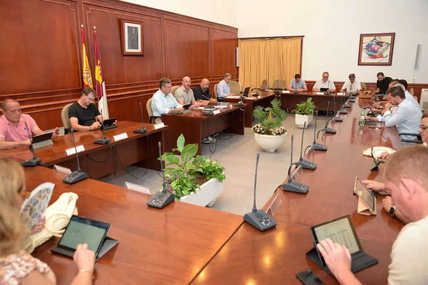 20220914_Pleno Ordinario 001_Comsermancha