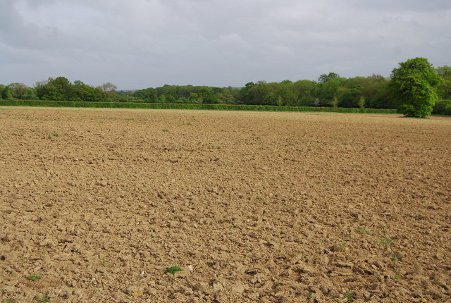 Fallow_field_by_Coldharbour_Lane_-_geograph.org.uk_-_1309079