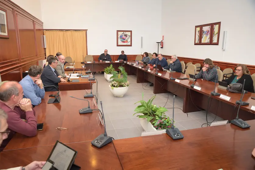 20221111_Pleno Ordinario 01_Comsermancha