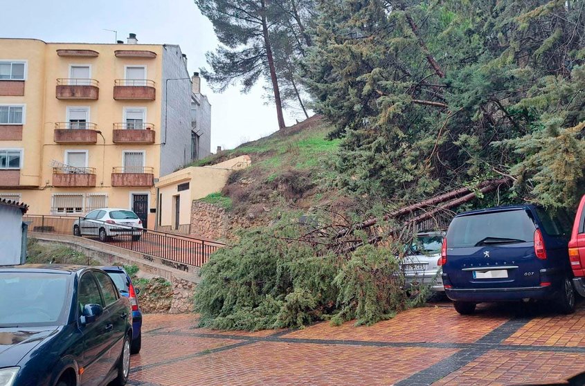 Árbol caído en Cuenca a consecuencia de las lluvias
EUROPA PRESS
13/12/2022