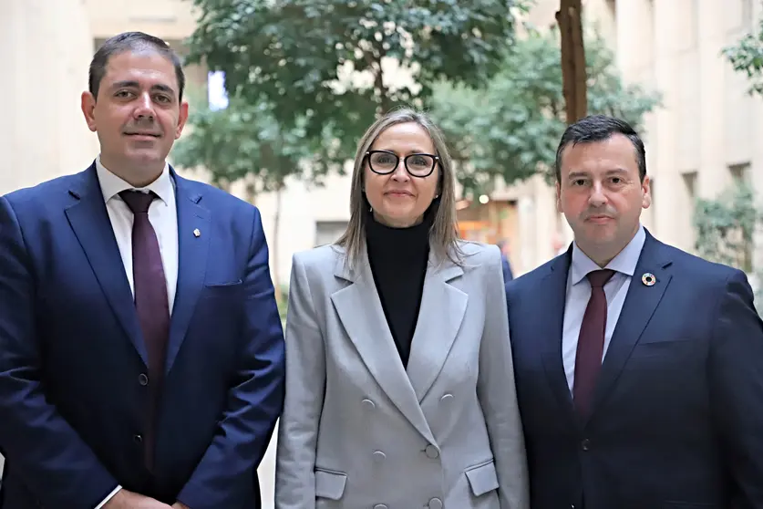 Jos&eacute; Manuel Bola&ntilde;os, Montse Muro y Miguel &Aacute;ngel Nacarino, ponentes socialistas en la Ley de Cooperaci&oacute;n