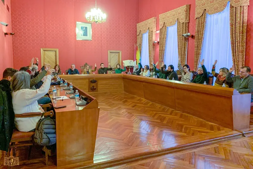 EuropaPress_4929867_pleno_ayuntamiento_tomelloso