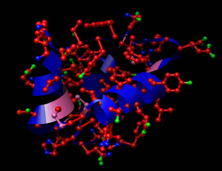 Estructura química de la Insulina. Fuente: es.wikipedia.org