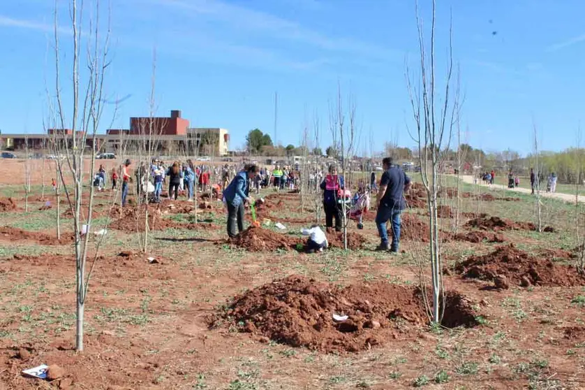 En la plantación llevada a cabo ayer domingo, 26 de marzo, participaron 230 familias.