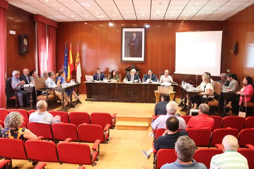 pleno-manzanares