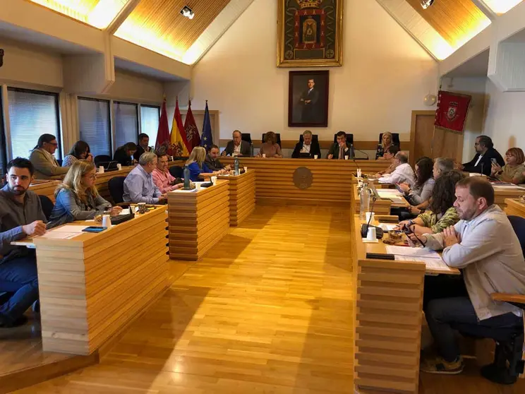 pleno-ciudad-real-2