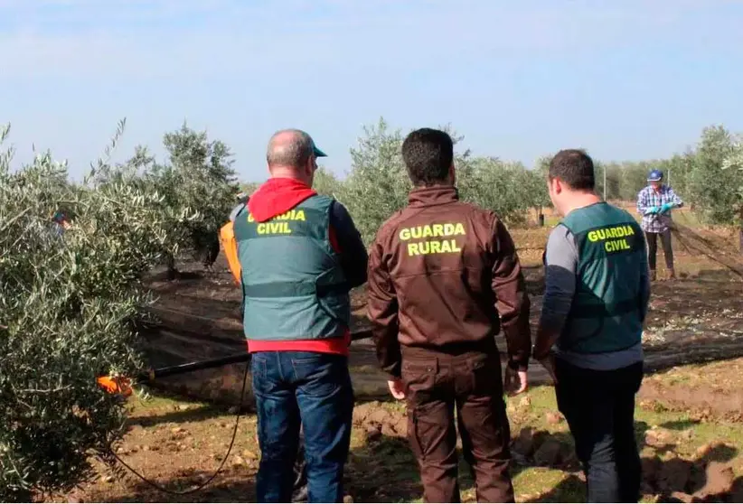 olivar-guardia-civil