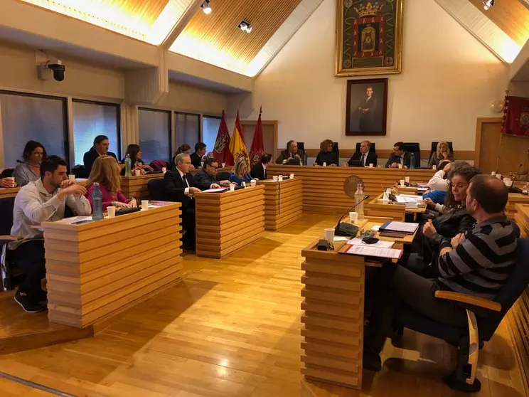 pleno-ciudad-real