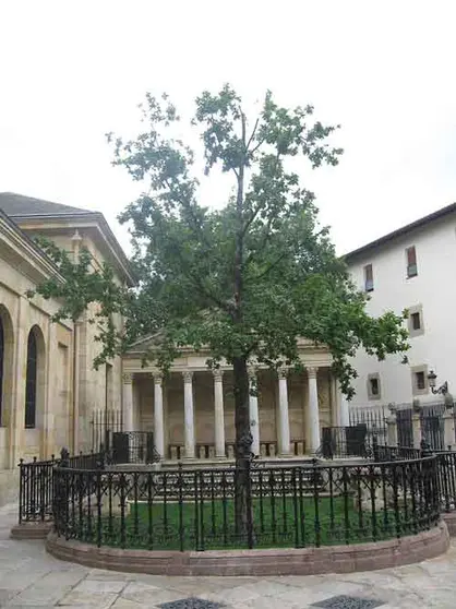 El “árbol de Guernica”. Fuente: es.wikipedia.org