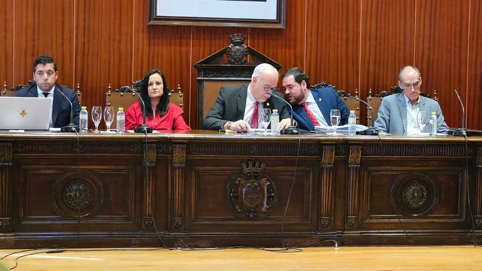 pleno-manzanares