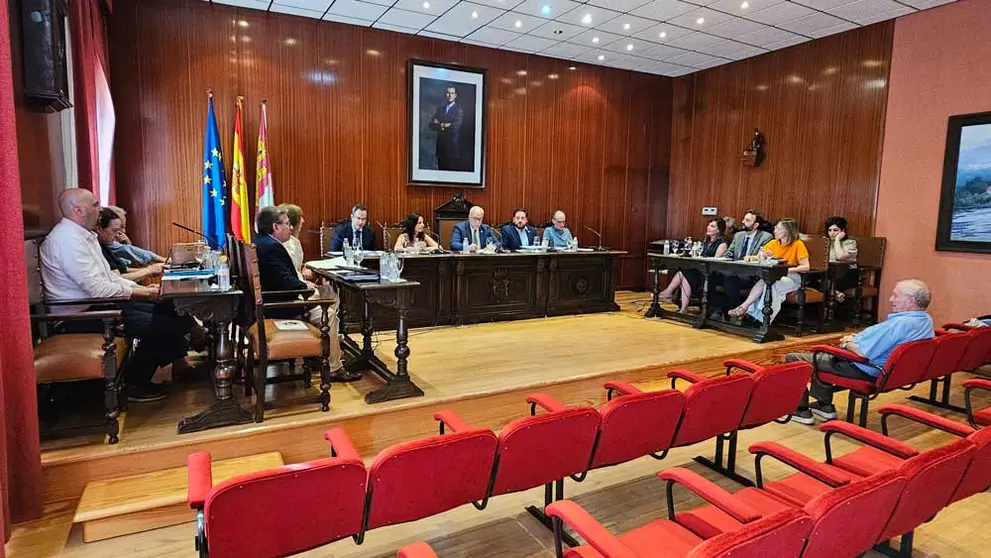 pleno-manzanares