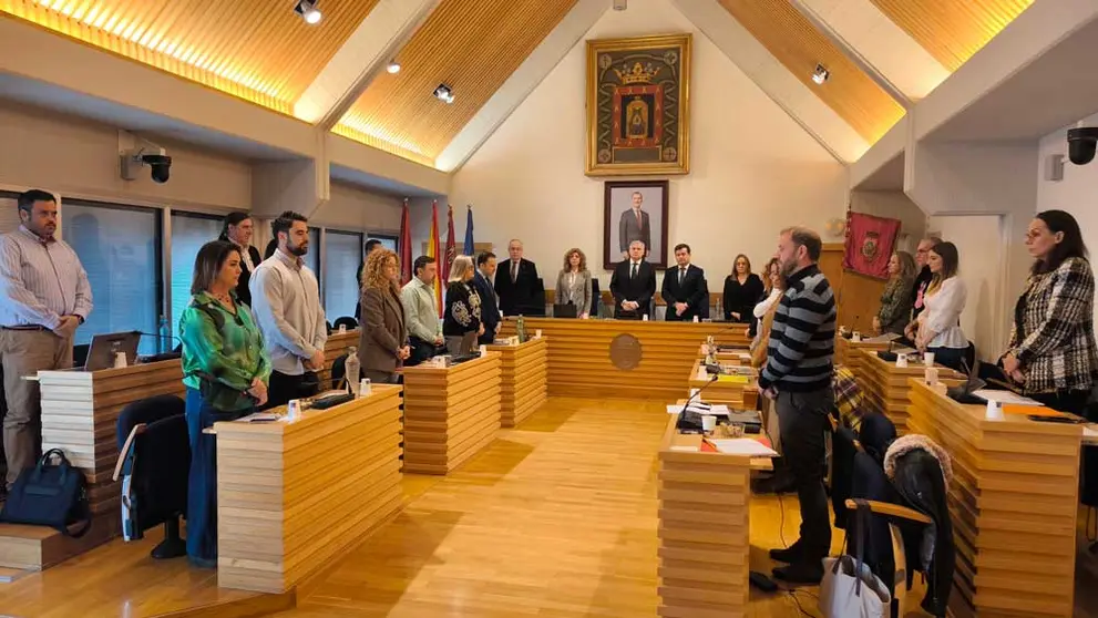 pleno-ayto