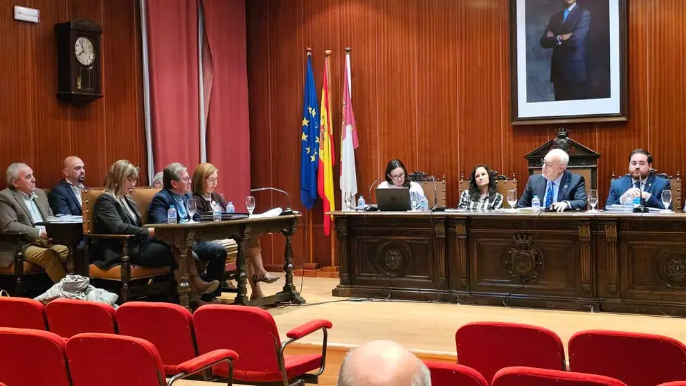 pleno-manzanares-1