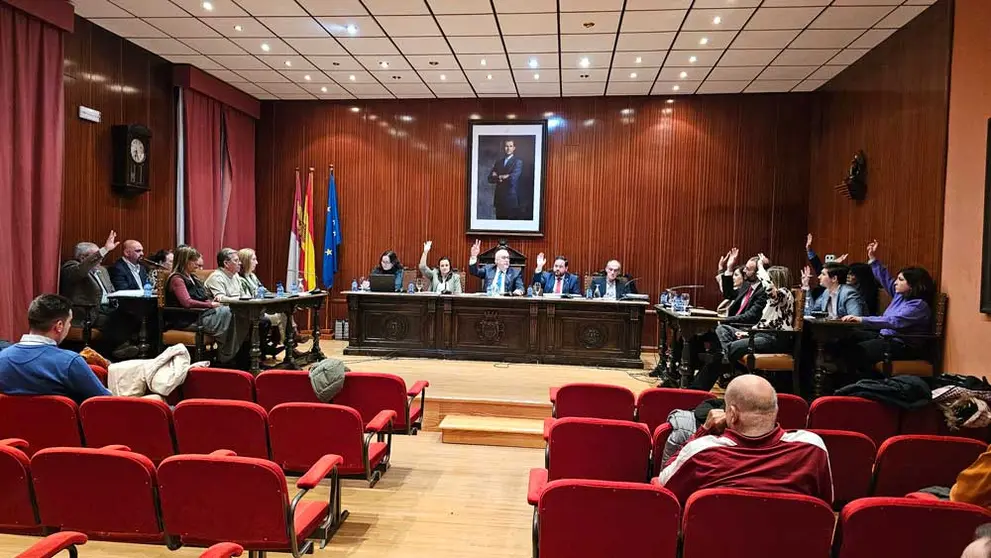 pleno-manzanares