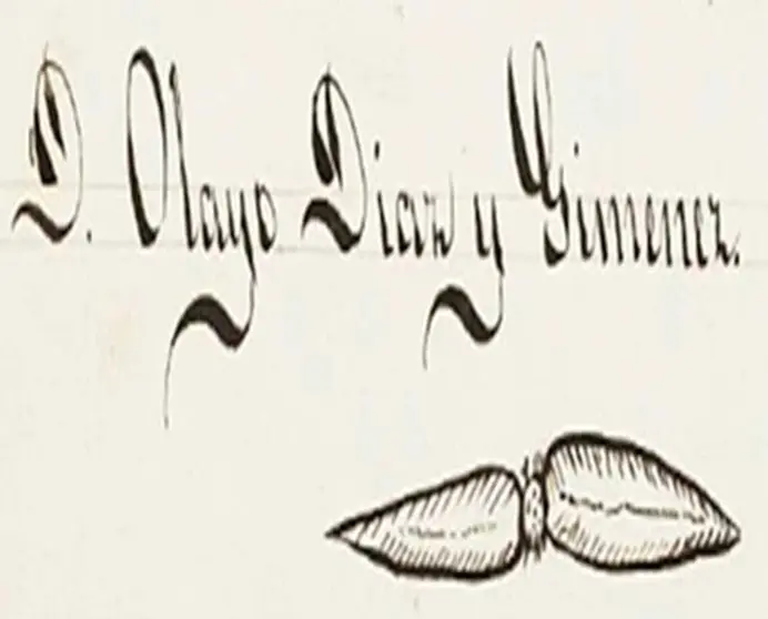 olayo-1