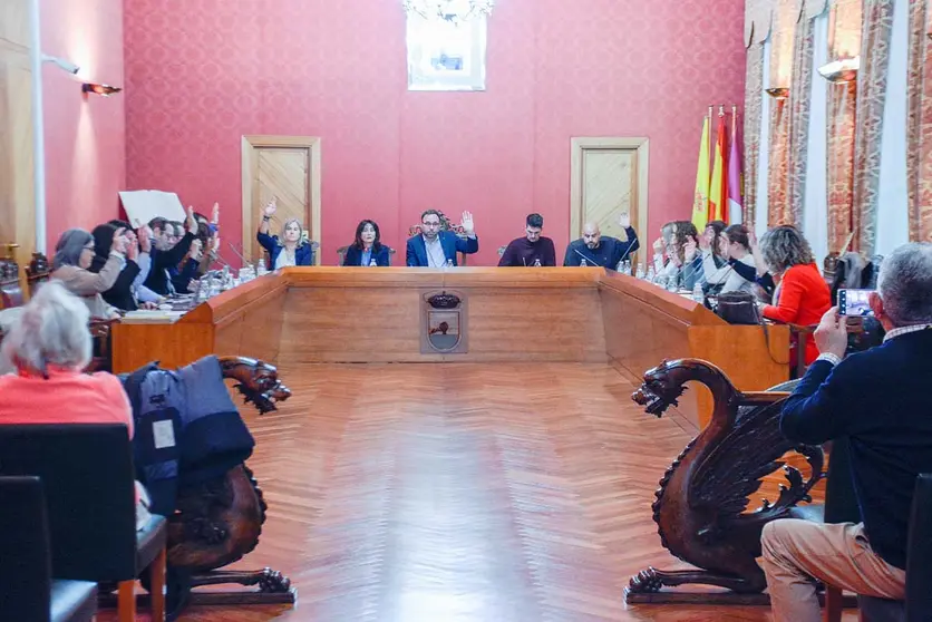 pleno-tomelloso