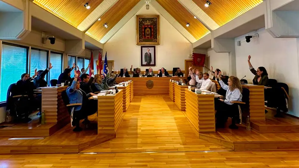 pleno-marzo-2025