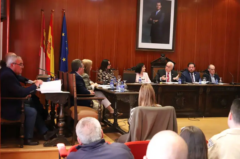 pleno-manzanares