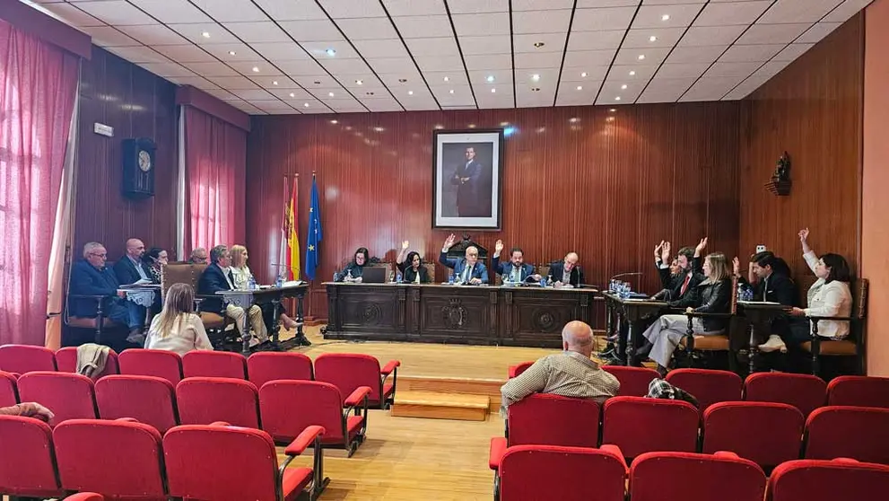 pleno-manzanares