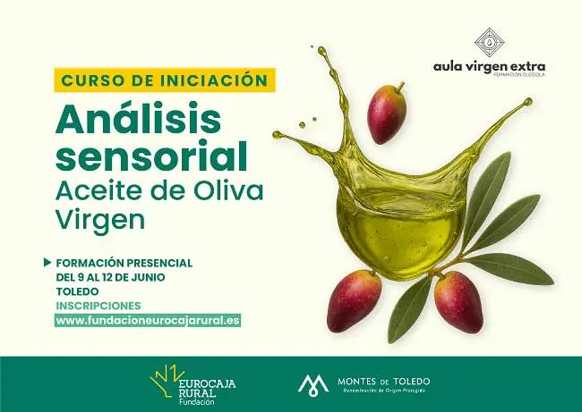 eurocaja-aceite
