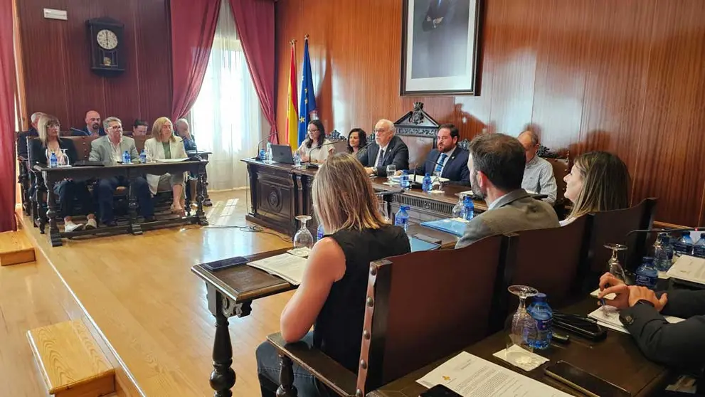 pleno-manzanares