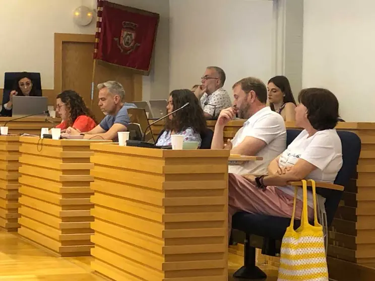 pleno-psoe