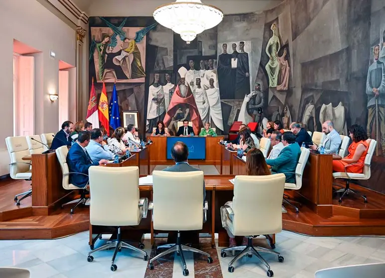 pleno-dipu