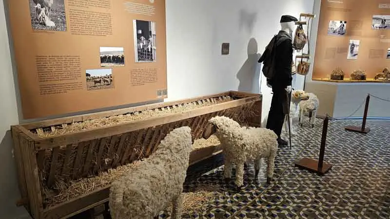 Museo del Queso Manchego.
