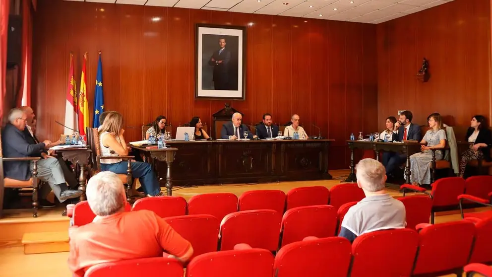 pleno-julio-manzanares