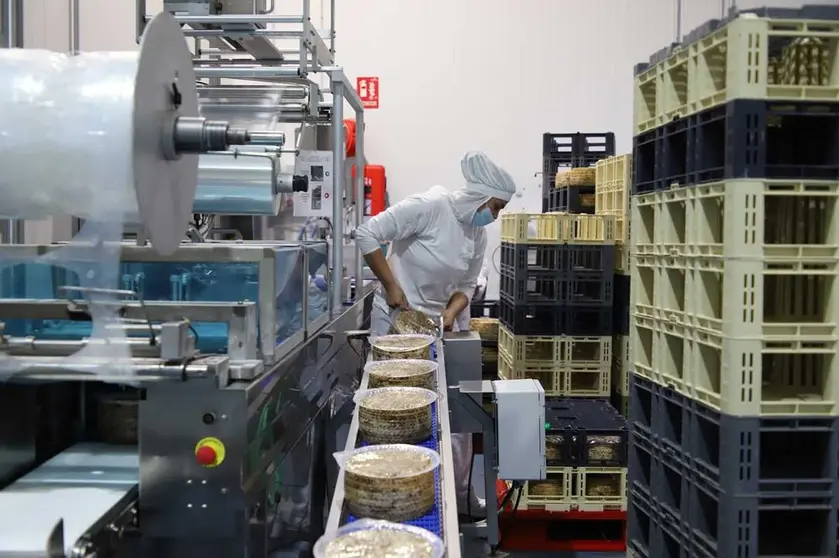 queseros-manchegos-trabajadores