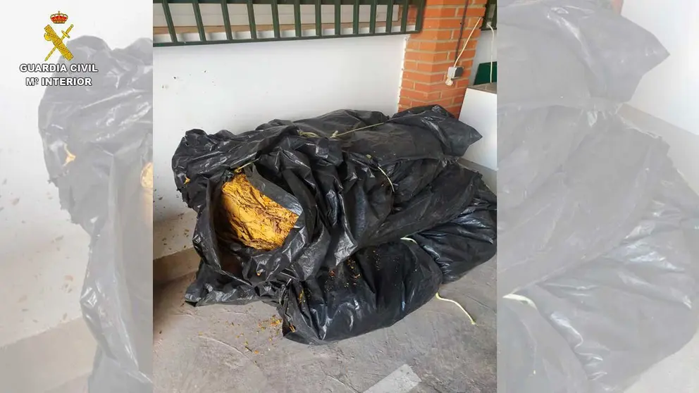 tabaco-prensado-guardia-civil-1