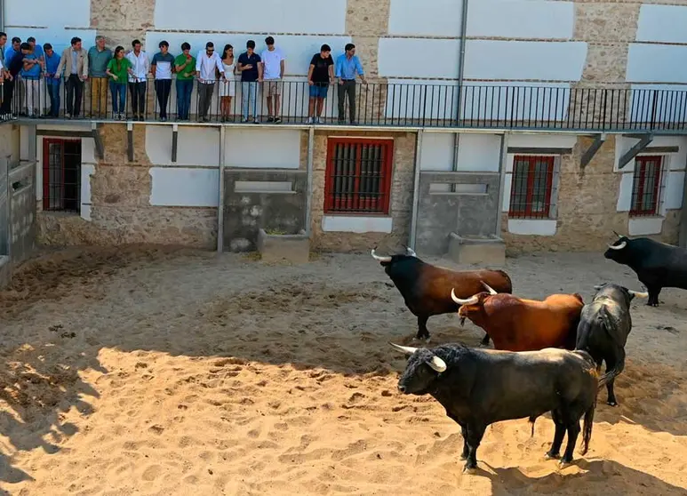 corrida-toros-locales-4