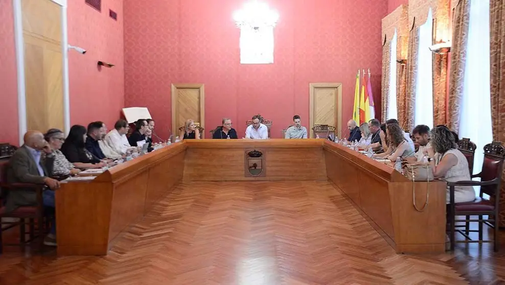 pleno-tomelloso