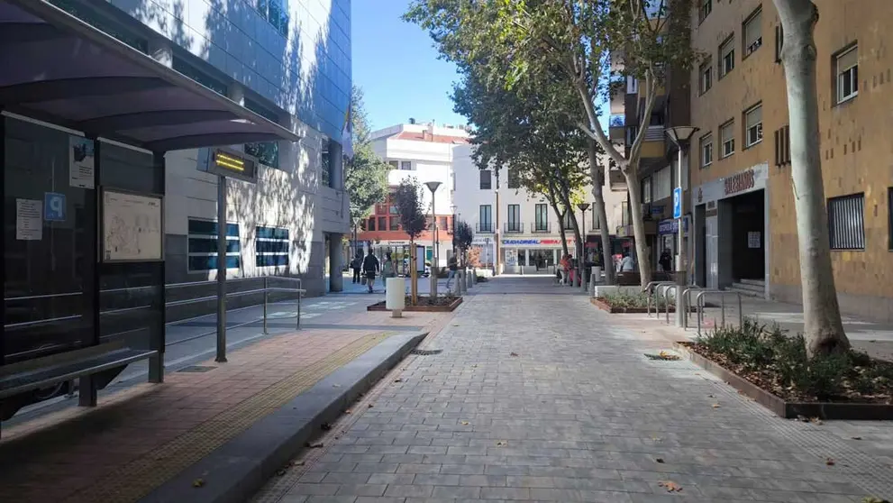 peatonalizaci&oacute;n-2