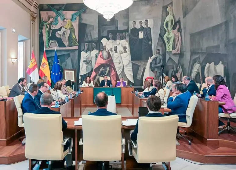 pleno-diputaci&oacute;n