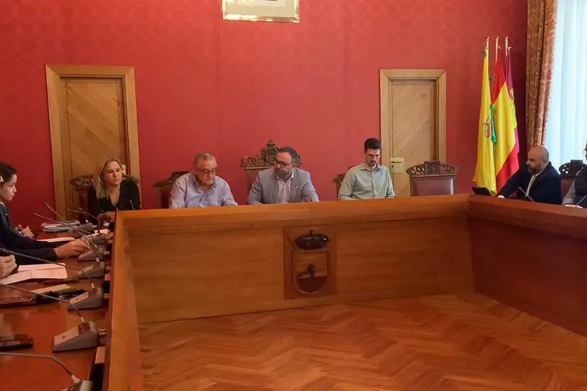 tomelloso-pleno