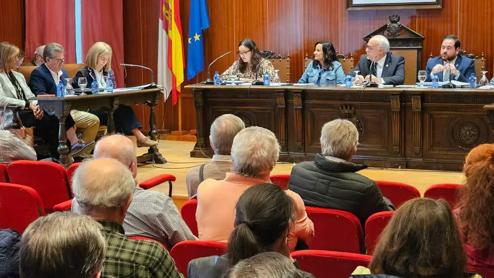 pleno-manzanares
